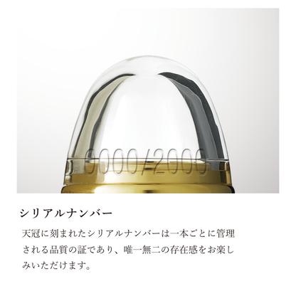＃3776 CENTURY Ver. 2.0　    デモンストレーター